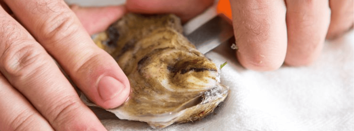 what to use instead of an oyster knife