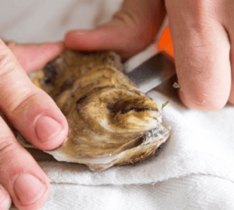 what to use instead of an oyster knife