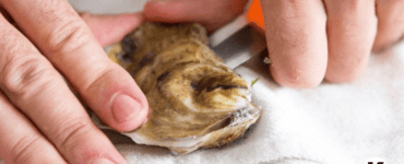 what to use instead of an oyster knife